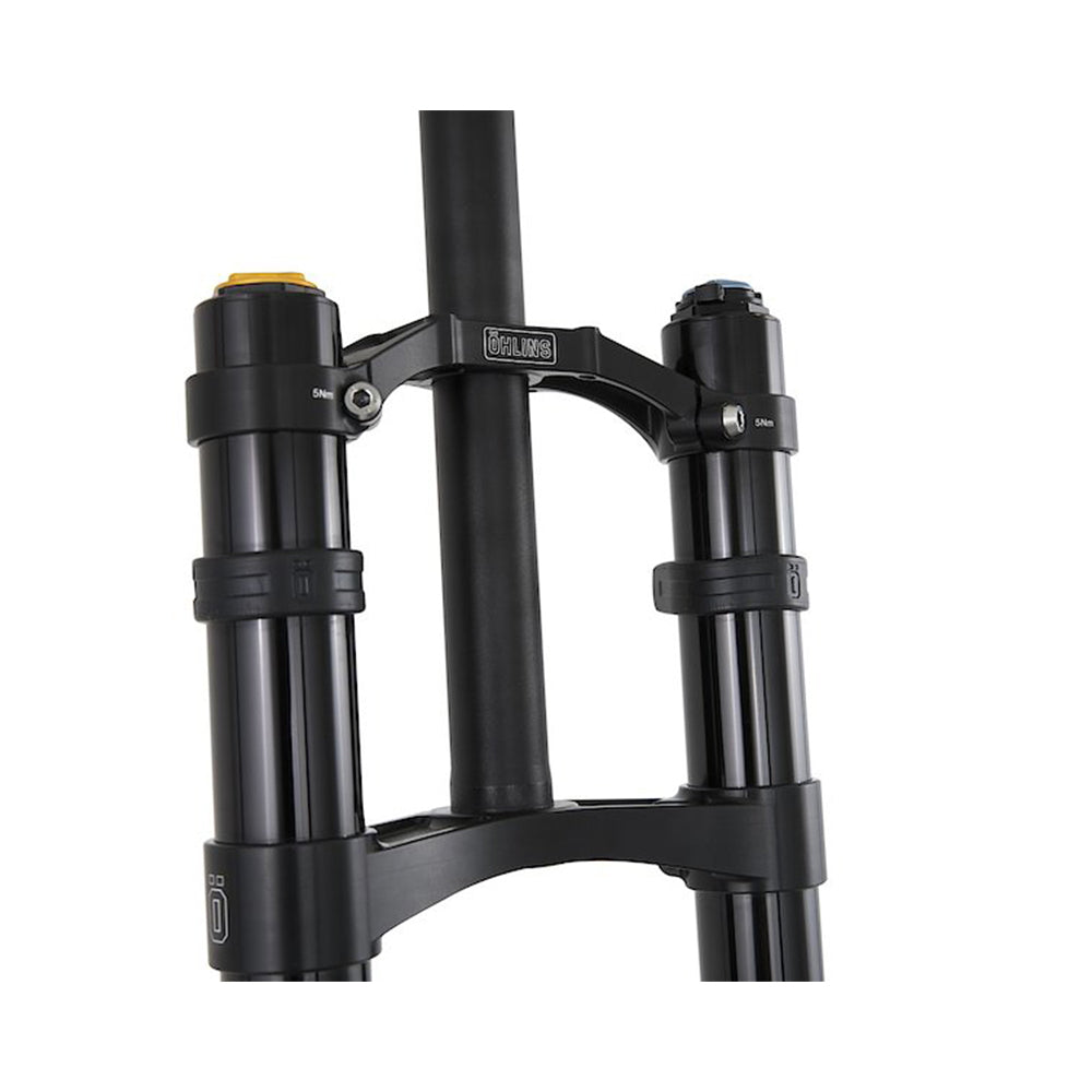 Ohlins DH38 Crown set