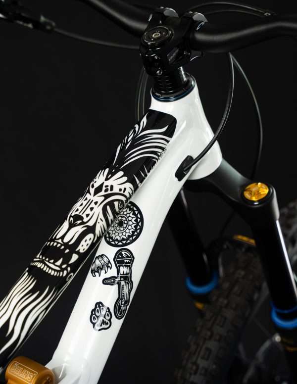 RideWrap Creator Series - P Digsss