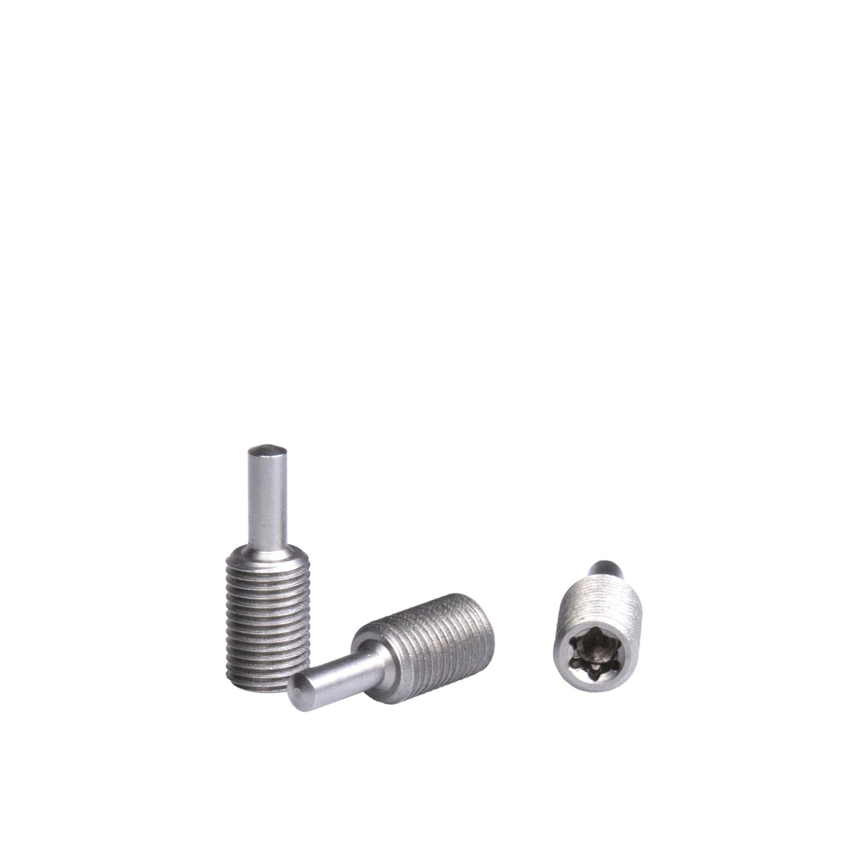 Daysaver Coworking Replacement Parts - Chain Breaker Bolt