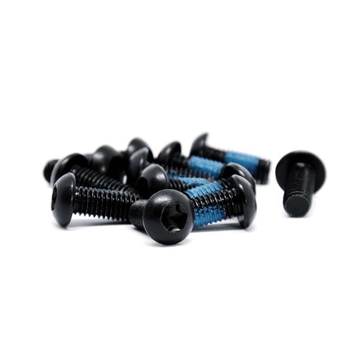 Black Trickstuff steel disc rotor bolts with blue threadlock, arranged on a white background.