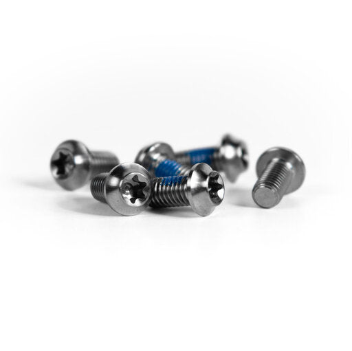 Silver Trickstuff titanium disc rotor bolts with blue threadlock, arranged on a white background.