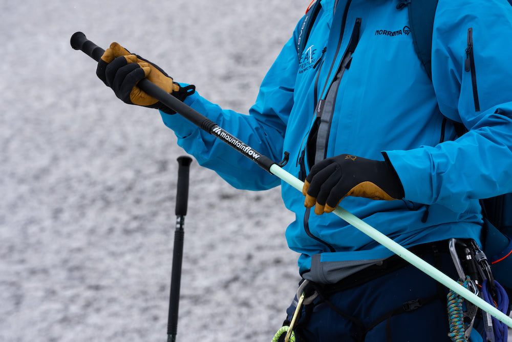 Ski Pole - ecoTOUR